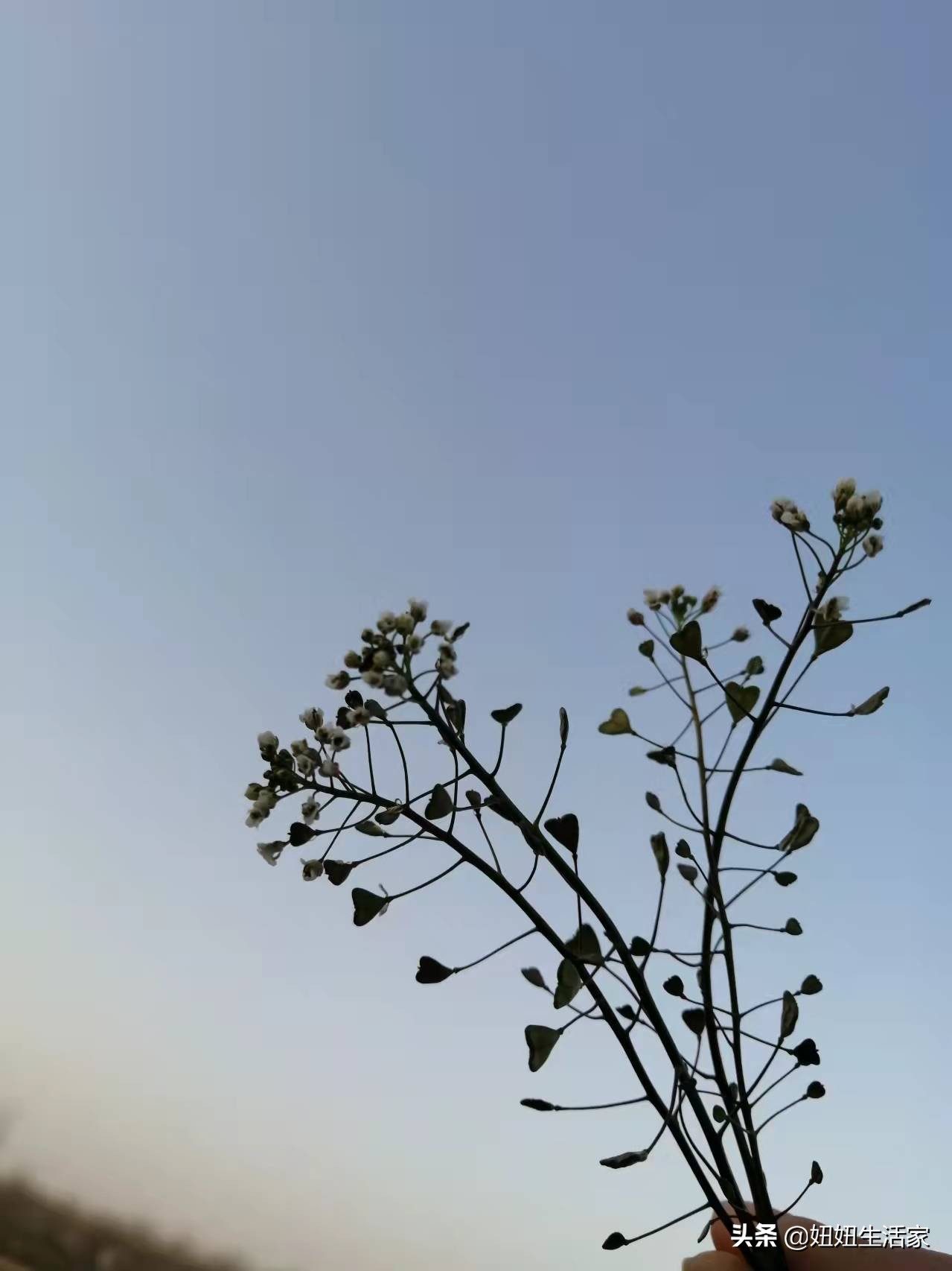 平凡却不失浪漫的爱情,平凡的爱情却总那么细腻