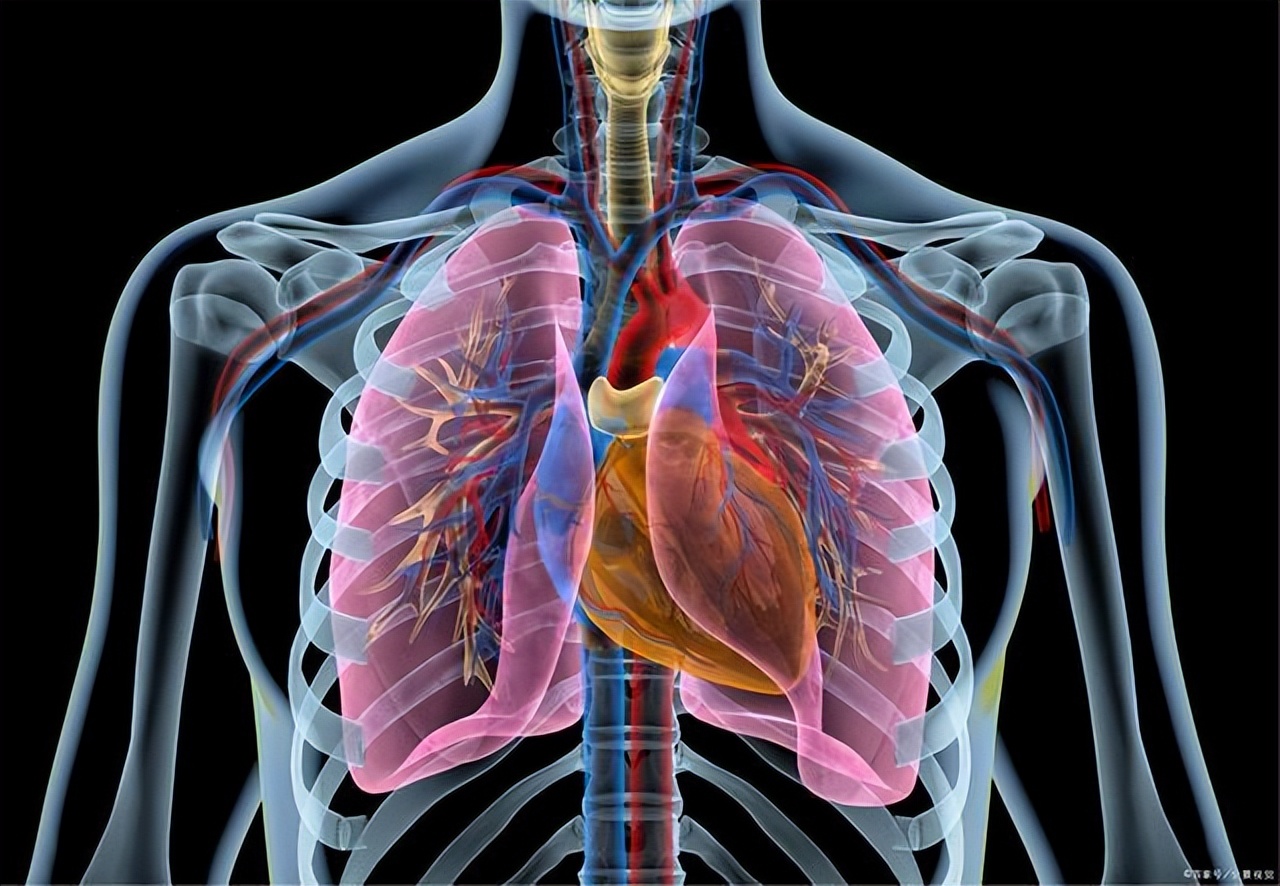 肺部出问题喉咙先知,肺部有病哪里先知