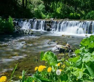 哈尔滨到密山兴凯湖一日游价格,哈尔滨到兴凯湖旅游团