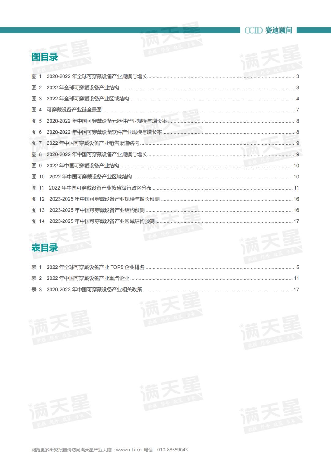 智能可穿戴行业报告模板,智能可穿戴产业发展报告范文
