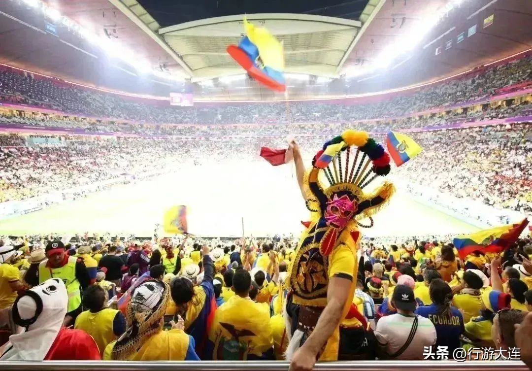 大连体育中心足球场专业足球场,世界杯足球场比赛场地