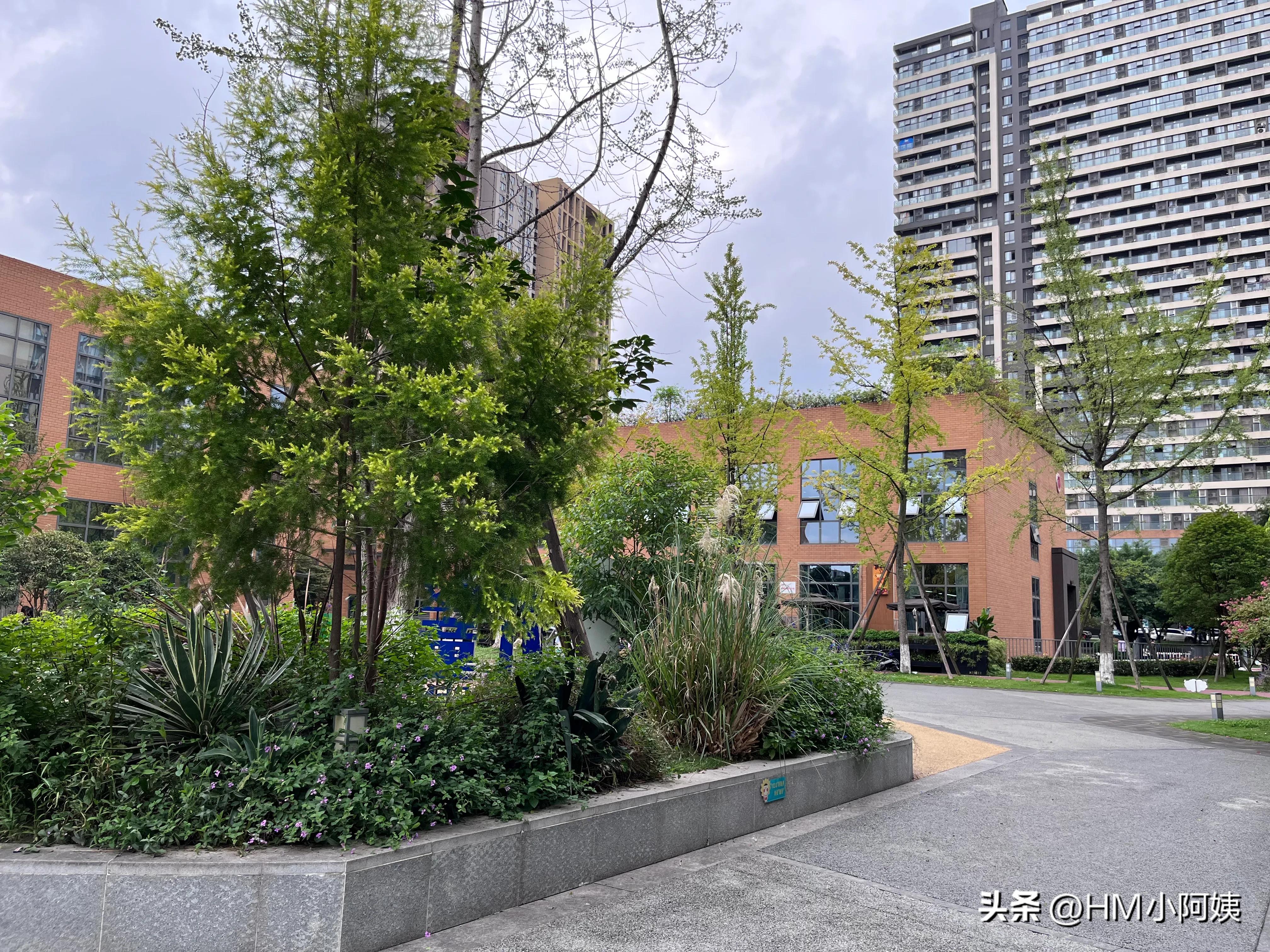 碎片时间学英语:大学里自我介绍