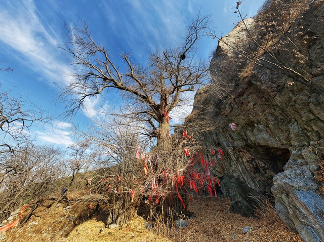 肺结节的特效克星,肺结节克星一览表
