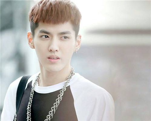 出道9年，获刑13年，从当红巨星沦落到阶下囚，吴亦凡哪里做错了