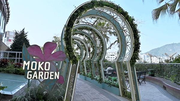 48h旅游攻略,香港h2攻略