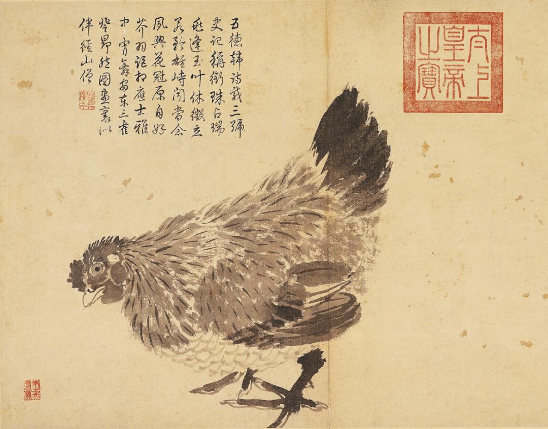 鸡娃、喝鸡汤、打鸡血……鸡的戏份为何这么多？