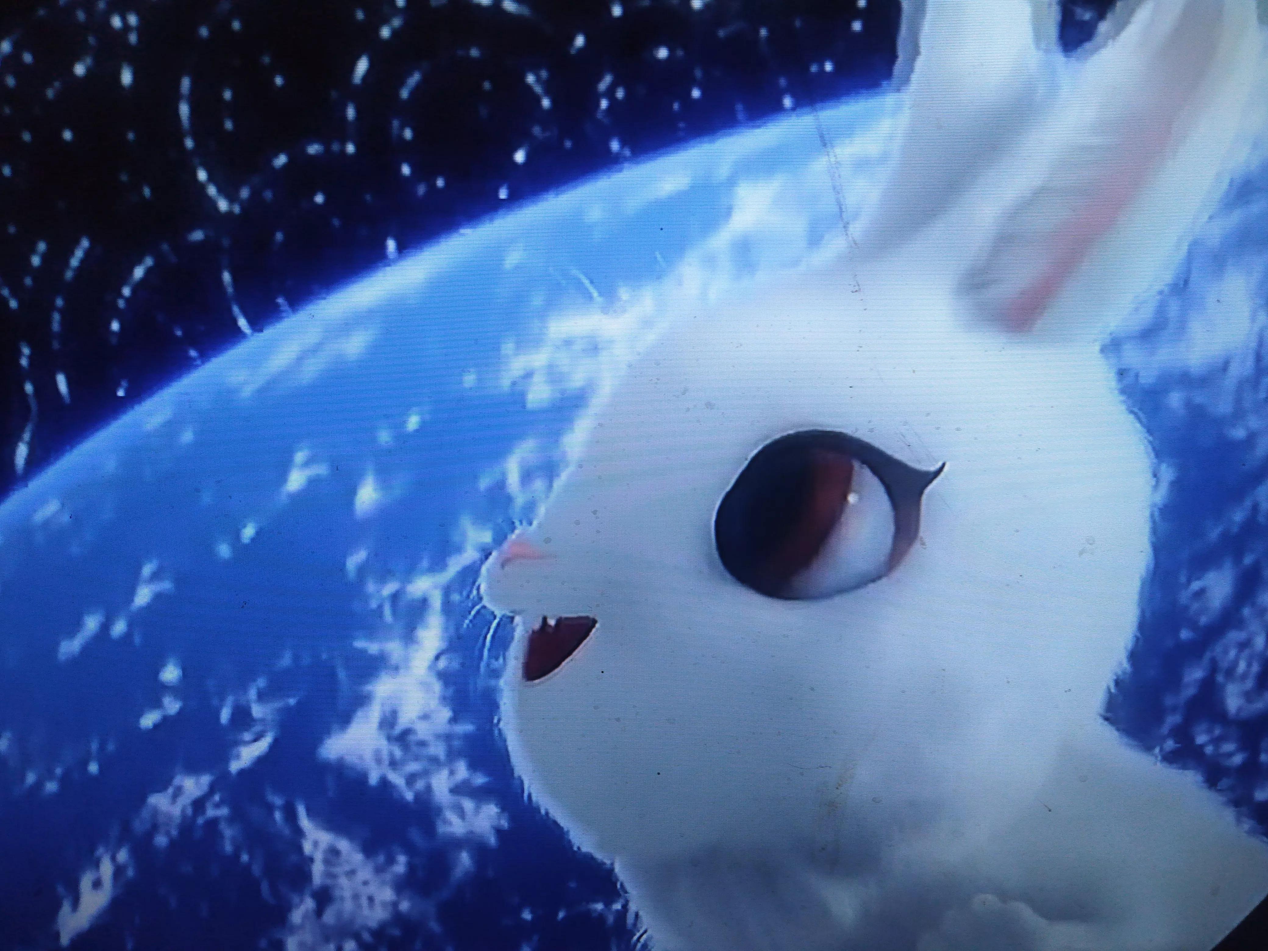 造名师，不如多多培养良师！