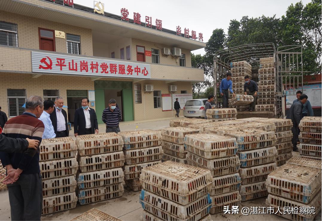 情怀、理念、路径、拼劲、执着、传承——以6个关键词总结湛江市检察院乡村振兴工作