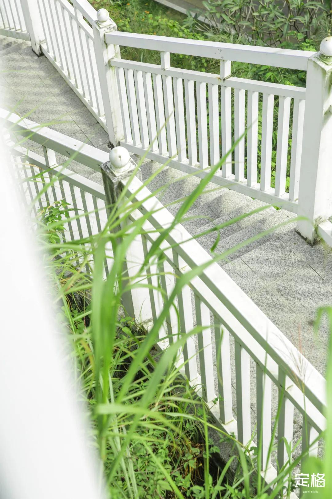 深圳百米长「纯白登山梯」，打卡绝了