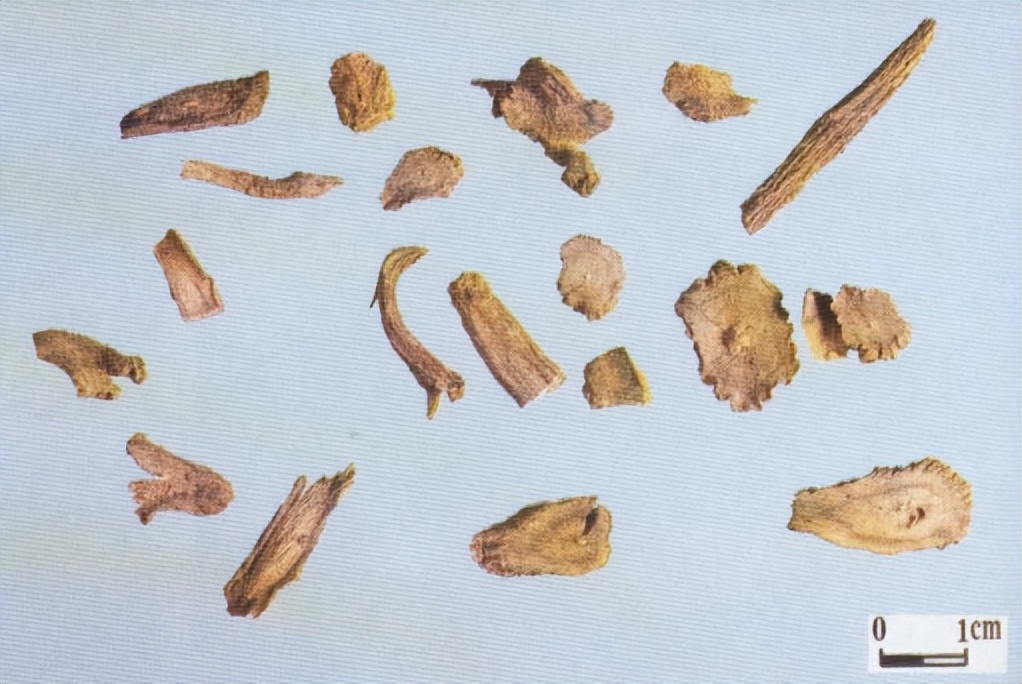 带你识别各种废旧塑料,带你识别白术