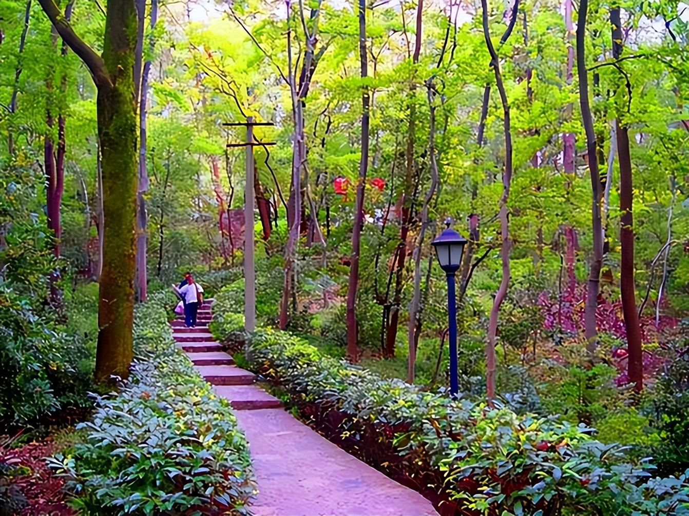 六朝古都南京旅游,江苏南京六朝古都指哪六朝