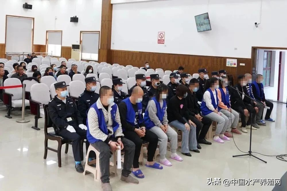 养殖户的十大骗局,养殖户的骗局有哪些案例