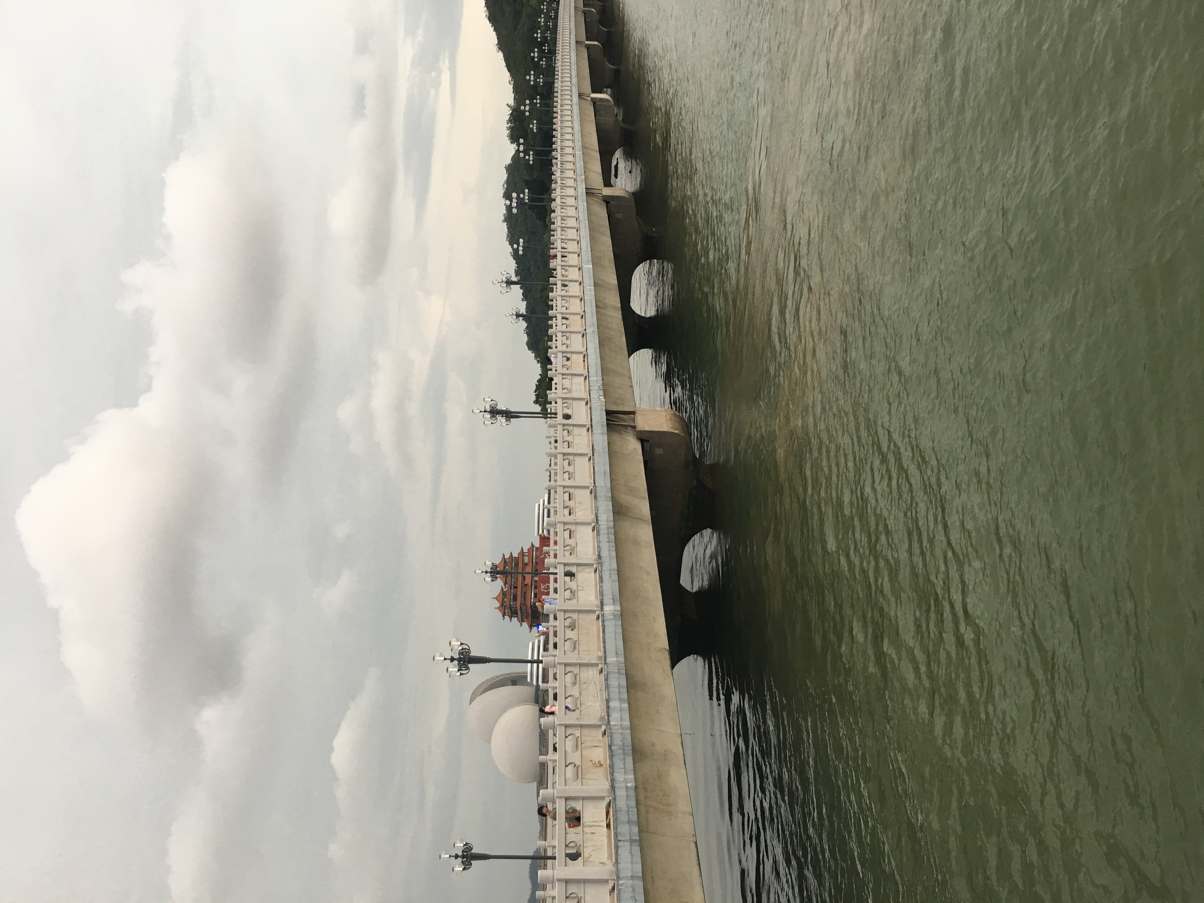 情迷珠海,最美海狸鸟