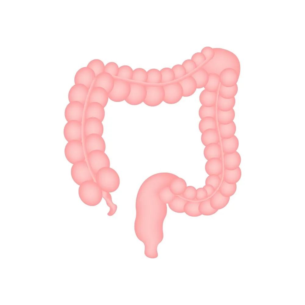 肠炎的症状有哪些,肠炎怎么调理最快最有效