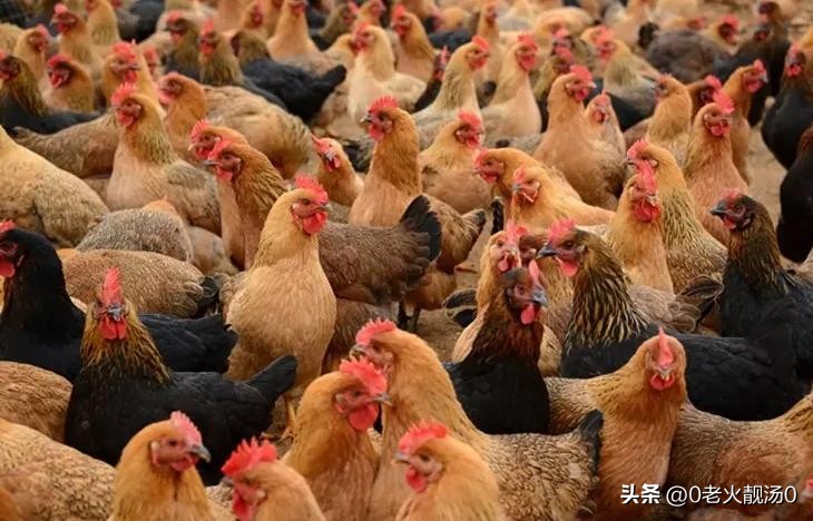 创业成功的10个秘密,创业要有魄力敢想敢干最重要