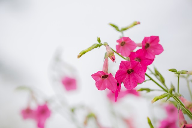 淘宝天猫电商运营,淘宝运营教程淘宝大学