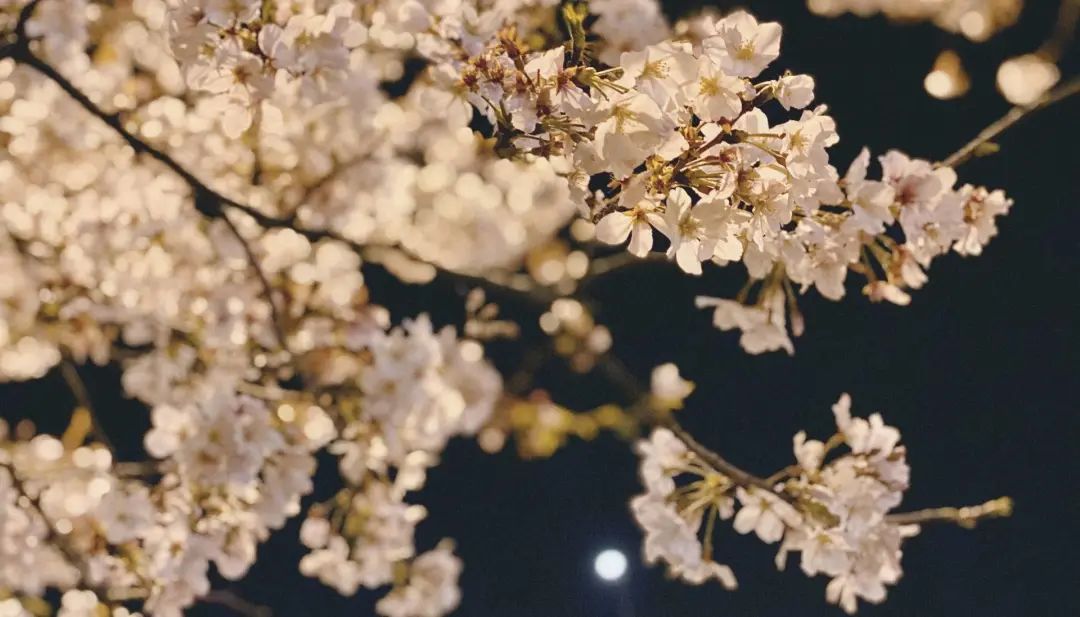 错过了一个秋天,错过了一个春秋