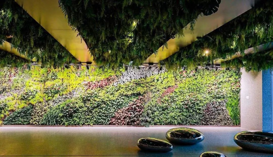 踩盘深圳万科公园里,踩盘中洲湾住宅