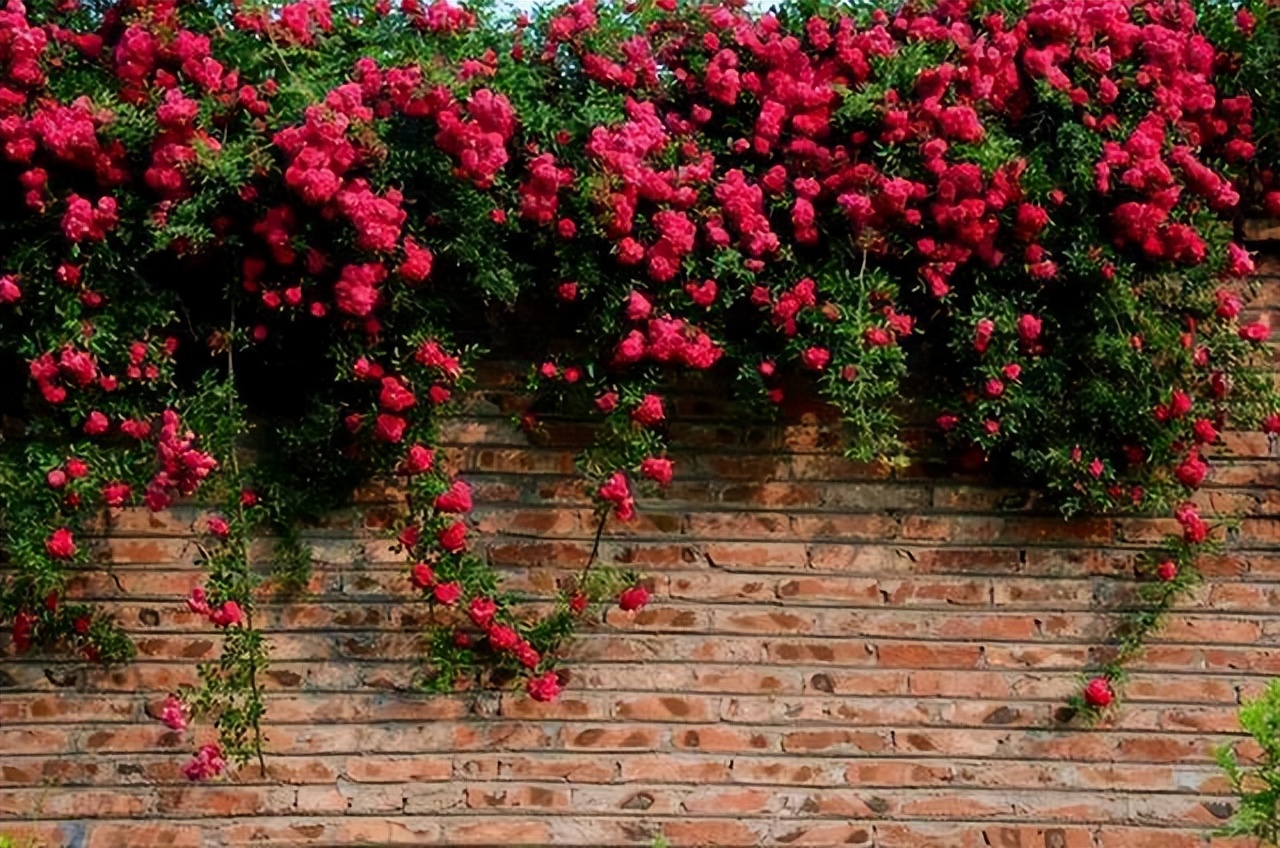 云南绝美十大仙境,云南发现真正的世外桃源