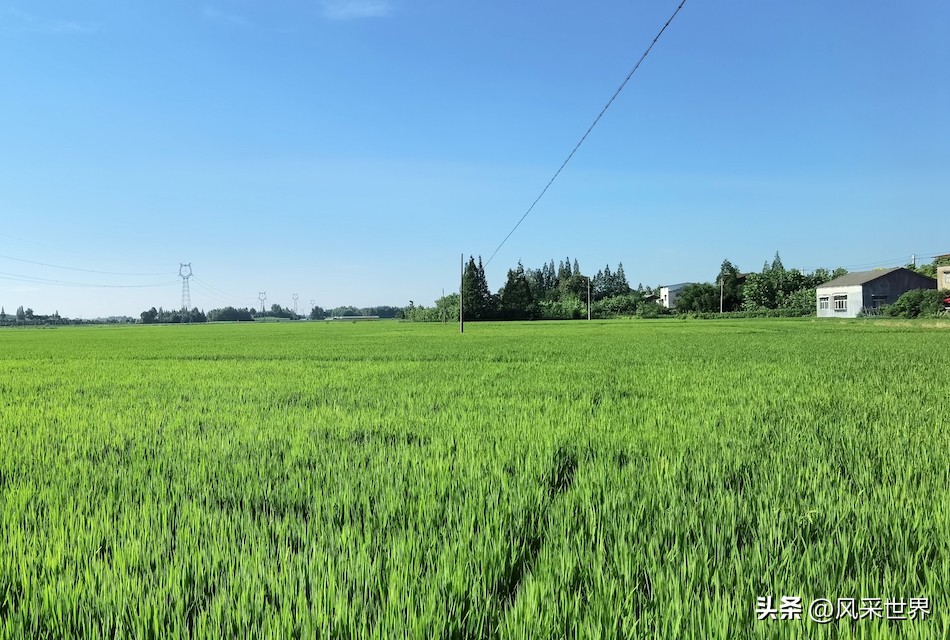 七言怀念父母,父子情的七言律诗