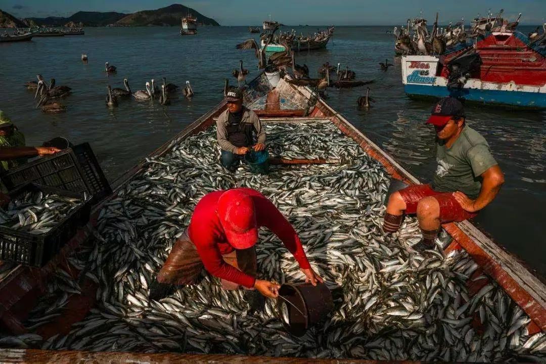 日本群岛附近的世界四大渔场之一,我国四大渔场和四大盐场分布图