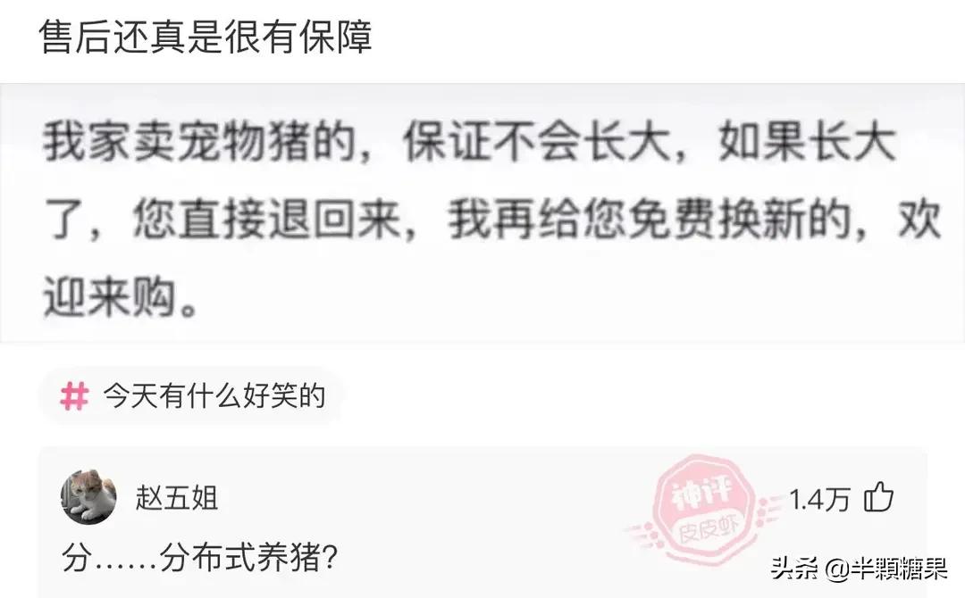 爆笑神回复原视频,爆笑神回复外卖