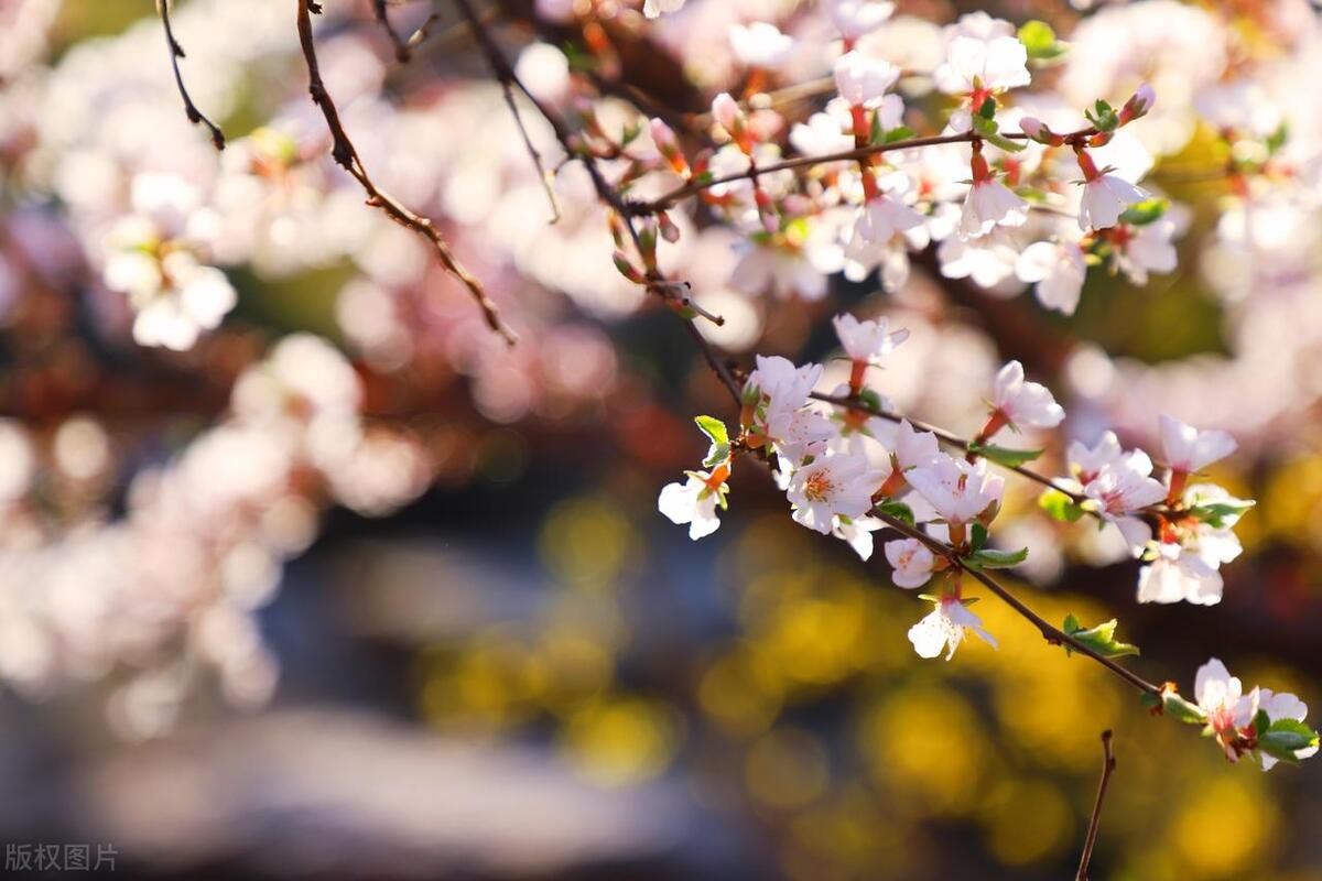 那些孝敬父母的人后来怎么样了,一个人孝顺父母的下场