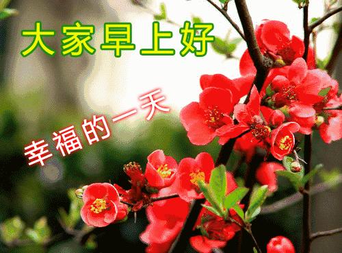 九月早上祝福,九月九早上好的祝福视频