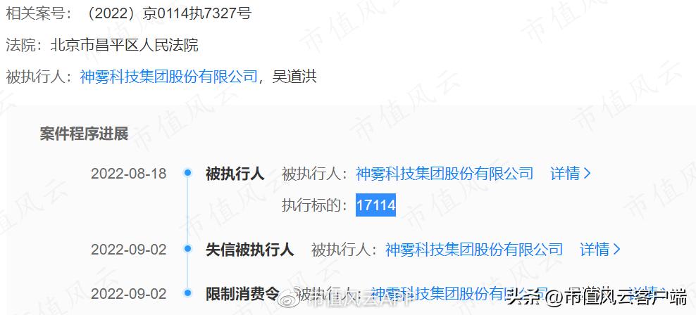 从博士到老赖,吴道洪资本覆灭记:神雾节能保壳战,造假了吗?
