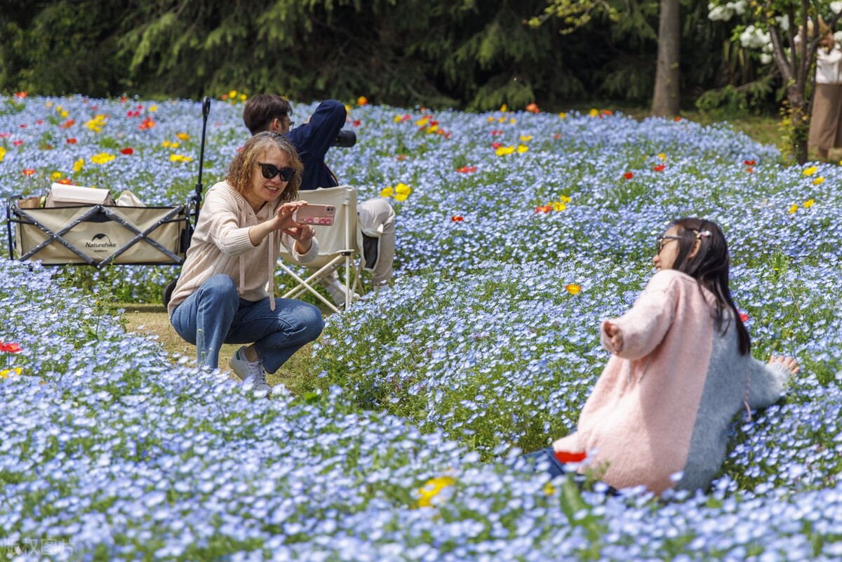 大上海旅游攻略必去景点大全,休息了没事去大上海参观旅游景点