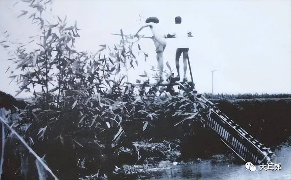 [心路历程]里下河樊汊锣鼓车车水号子