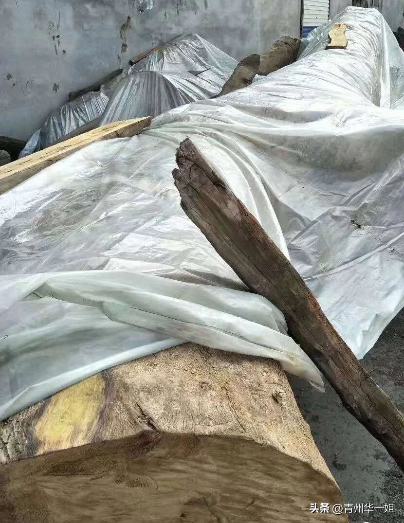 曾经价值上千万的金丝阴沉木,关于金丝楠阴沉木乌木的视频