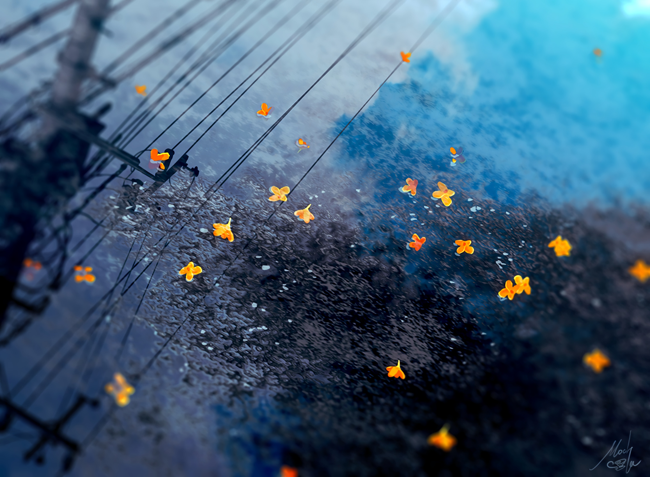 绝版电脑壁纸,库存笔记本电脑