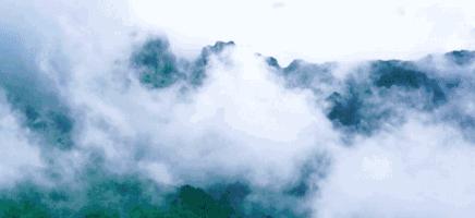 世界旱极是指哪里的,世界四十年不下雨的地方