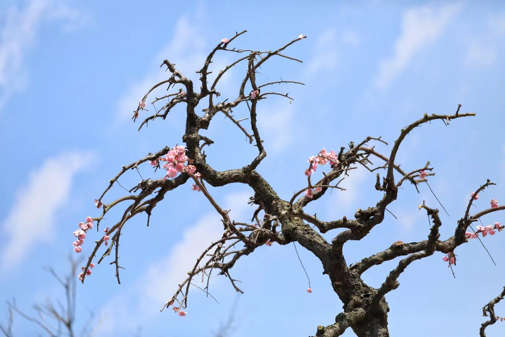 影响你赚钱的19个心病之一浮躁,影响你赚钱的10个心病之一浮躁