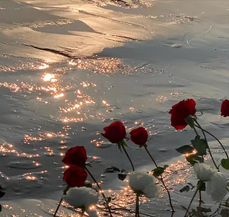 一个男人动了真情的表现是怎样的,婚外情男人对女人动了真情的表现