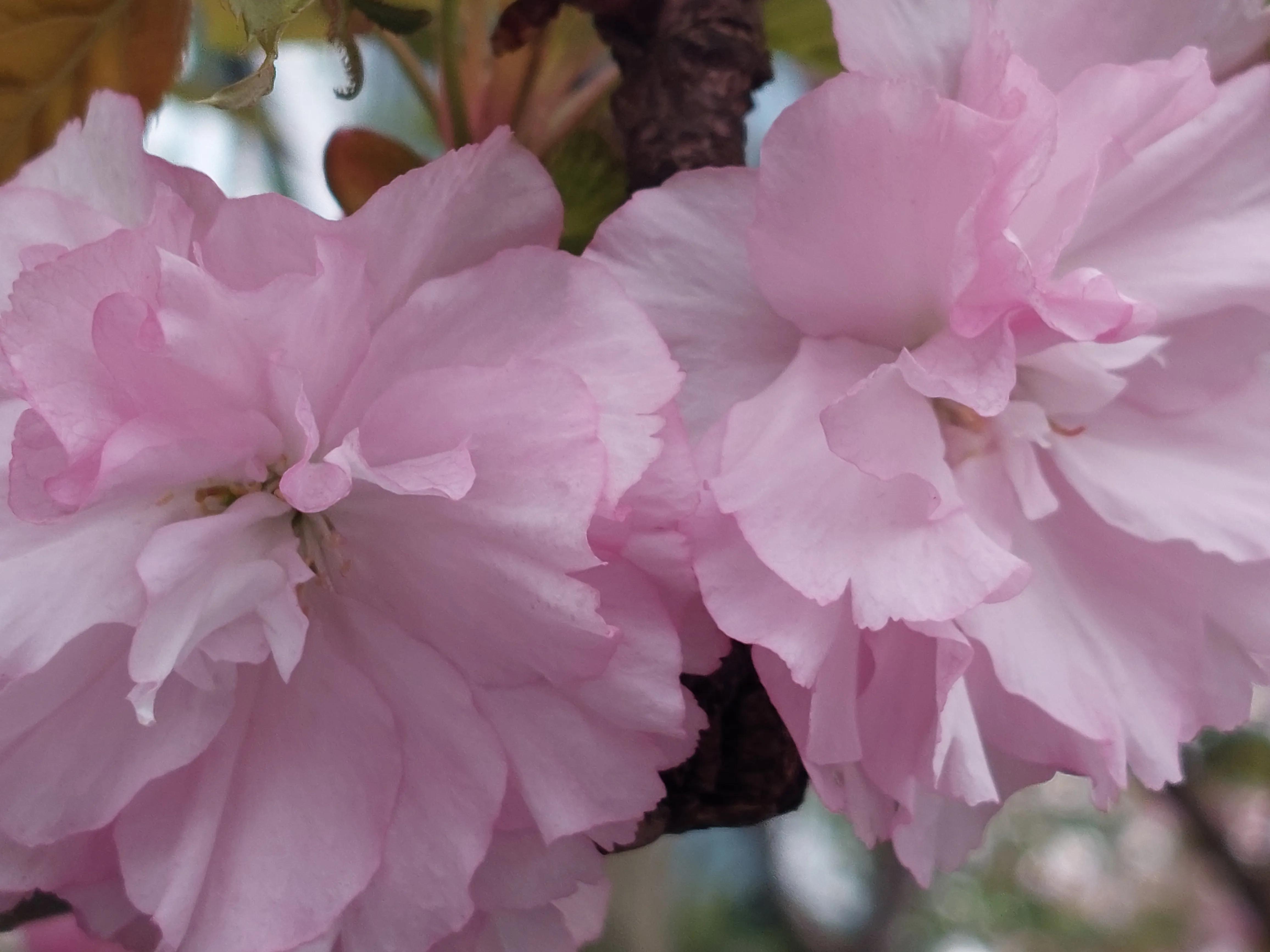 裁员后面试中问到离职原因,会计面试时被问到离职原因