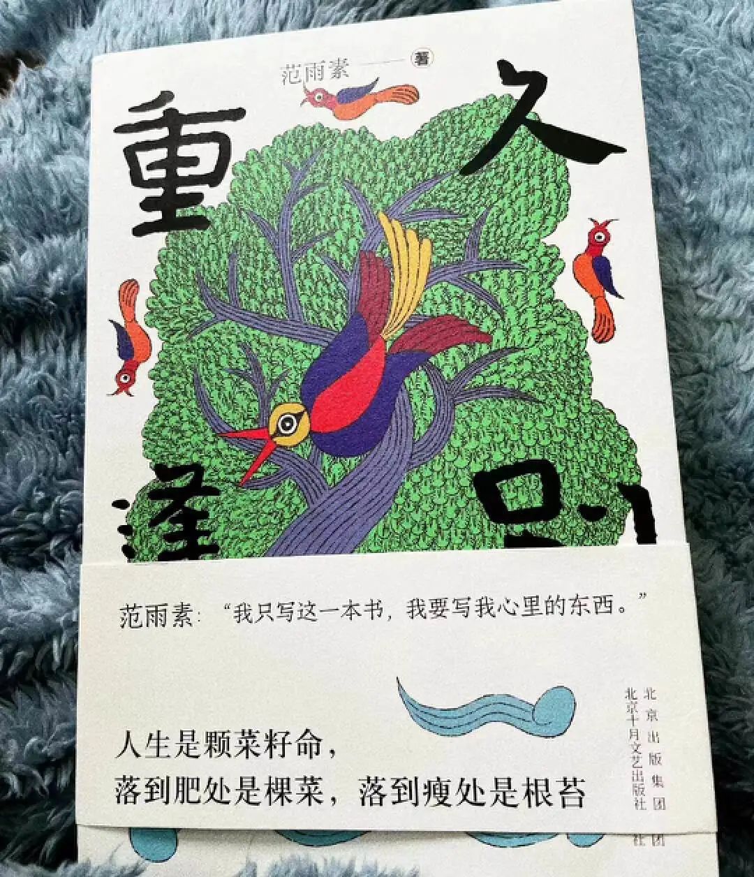 在腰封上“捡漏”金句，哪句让你想翻开它？