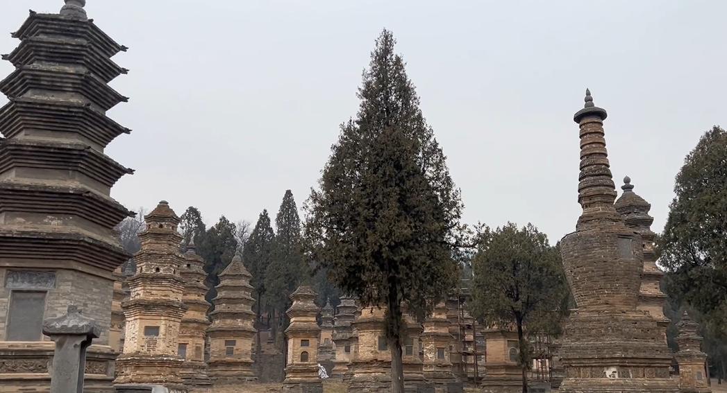 郑州九区遛娃游玩排行榜前十名,郑州遛娃打卡地点推荐