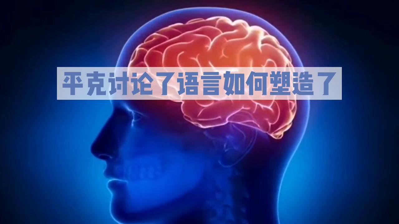 《语言本能》解读,语言本能