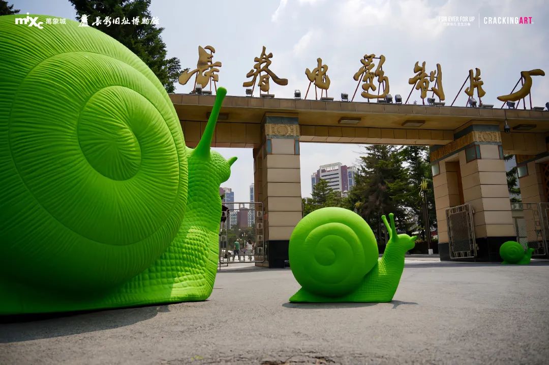 在长春上大学,太爽了吧!