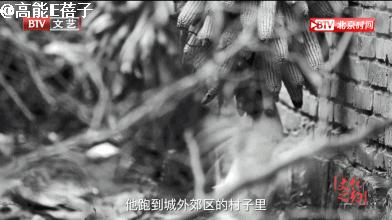 95岁“姜子牙”蓝天野病逝，他曾经是“地下尖兵”