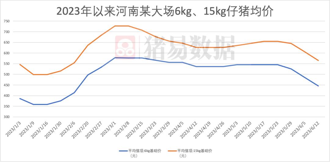 仔猪2月份价格,仔猪2字头是什么意思