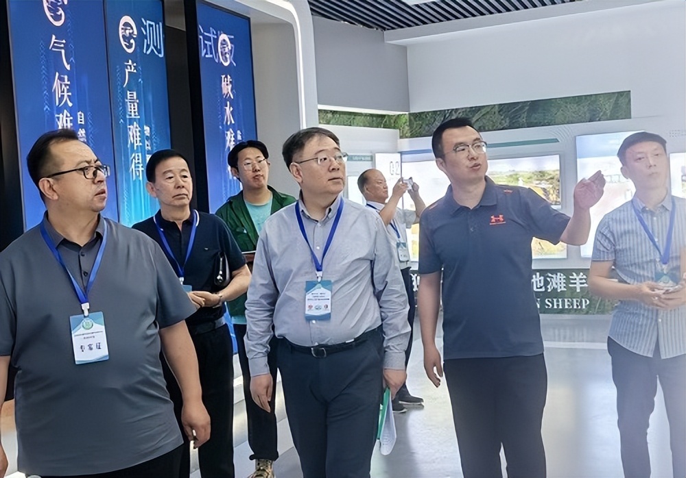 宁夏盐池县的盐池滩羊,宁夏盐池县滩羊之乡