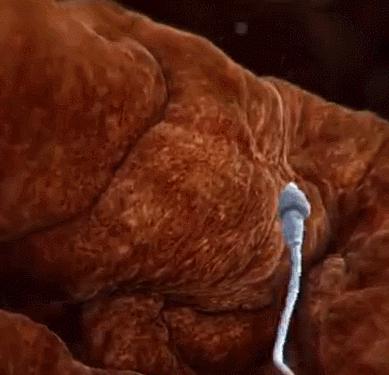 孩子长得像前女友有科学依据吗,孩子长得像老公但不是老公的