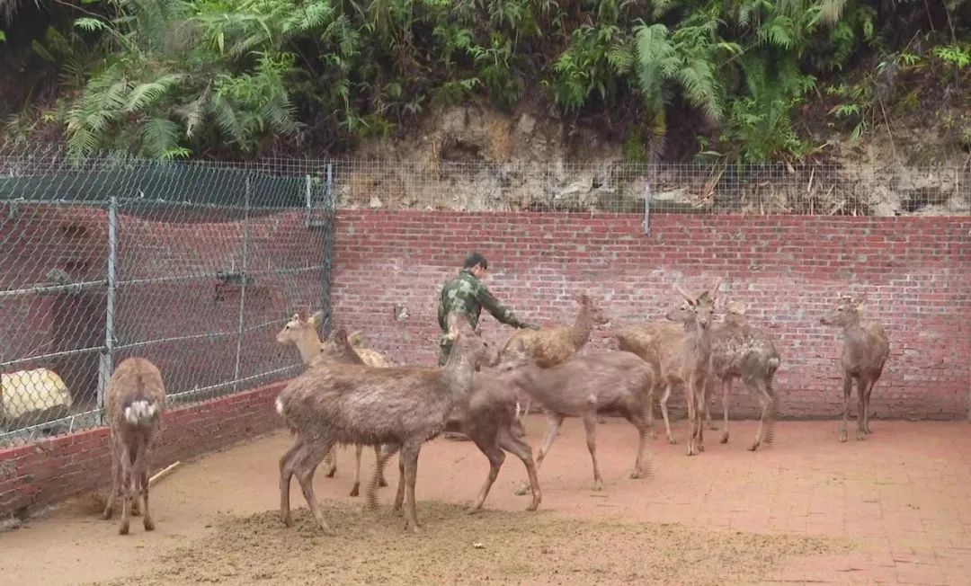 鑳介噺鍛ㄥ垔,鍏虫敞浜戞诞鏂伴椈