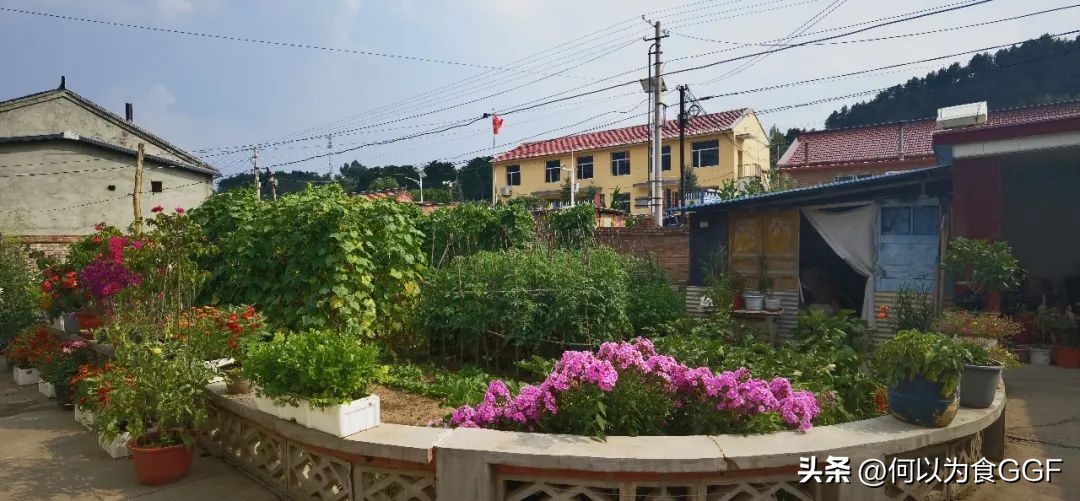 农村大锅菜的做法和技巧,农村真正的正宗的大锅菜