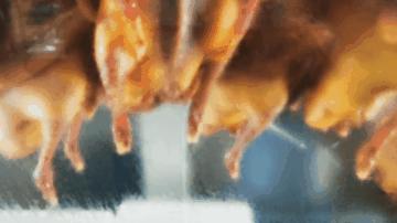 中山为什么出名,中山为什么这么值得买