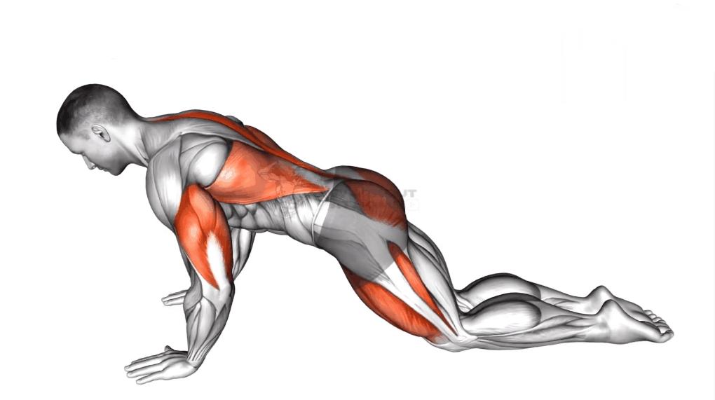 零基础居家健身动作教学,家庭健身动作教程动图