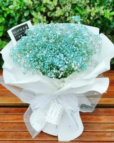 什么花的花语比较适合送给对象,花语大全送什么花